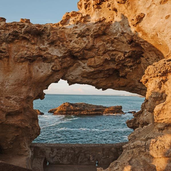 Life coach Amber Rosenberg in the news